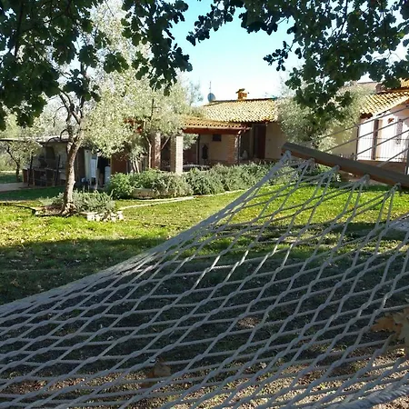 Malvarosa *